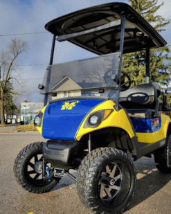 2018 YAMAHA Drive 2 | University Of Michigan